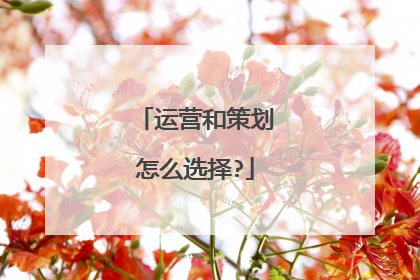 运营和策划怎么选择?