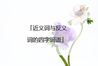 近义词与反义词的四字词语