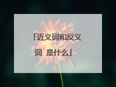 近义词和反义词 是什么