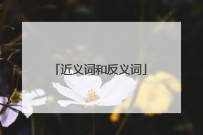 近义词和反义词