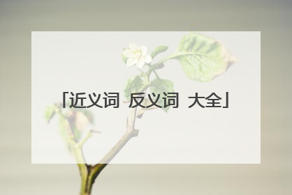 近义词 反义词 大全