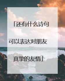 还有什么诗句可以表达对朋友真挚的友情