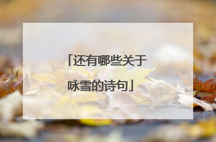 还有哪些关于咏雪的诗句