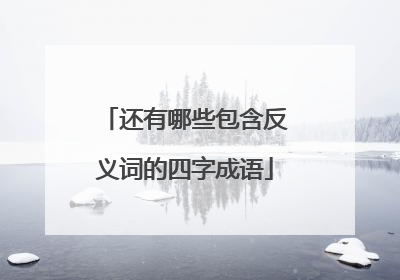 还有哪些包含反义词的四字成语
