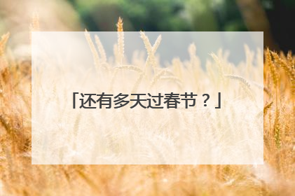 还有多天过春节？