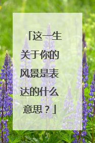 这一生关于你的风景是表达的什么意思?