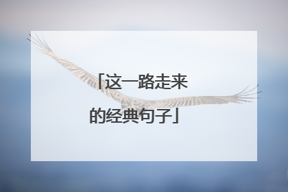 这一路走来的经典句子