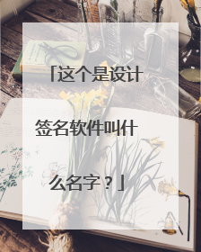这个是设计签名软件叫什么名字?