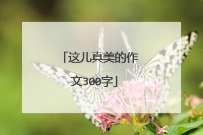 这儿真美的作文300字