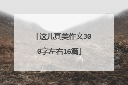这儿真美作文300字左右16篇