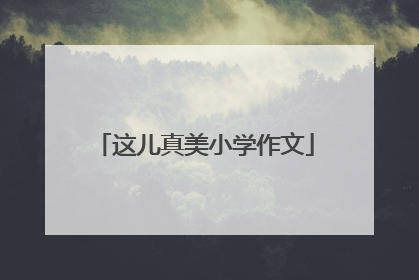 这儿真美小学作文
