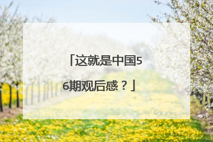 这就是中国56期观后感？