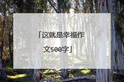 这就是幸福作文500字