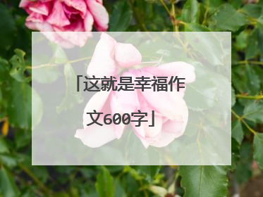 这就是幸福作文600字