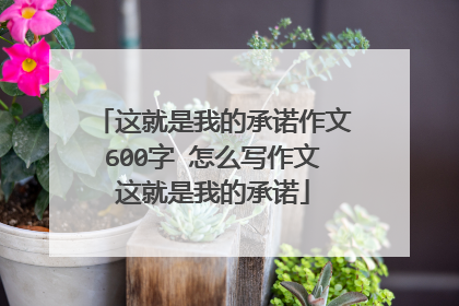 这就是我的承诺作文600字 怎么写作文这就是我的承诺