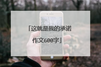 这就是我的承诺作文600字