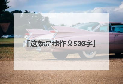 这就是我作文500字