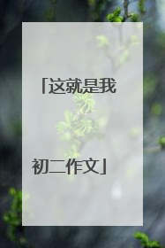 这就是我初二作文
