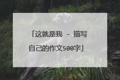 这就是我 - 描写自己的作文500字
