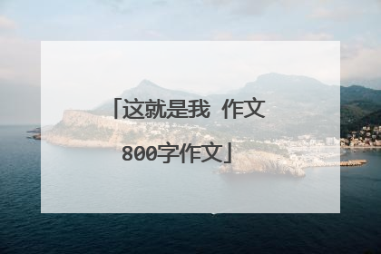 这就是我 作文800字作文