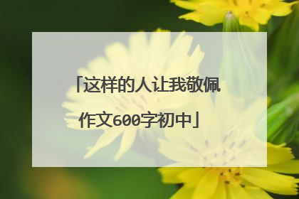 这样的人让我敬佩作文600字初中