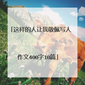 这样的人让我敬佩写人作文400字10篇