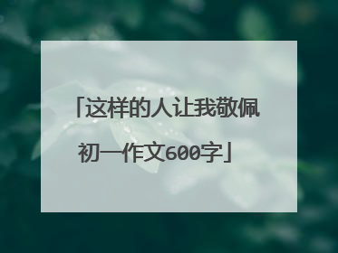 这样的人让我敬佩初一作文600字
