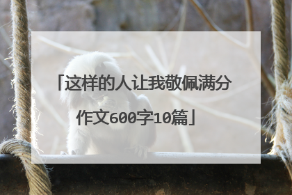 这样的人让我敬佩满分作文600字10篇