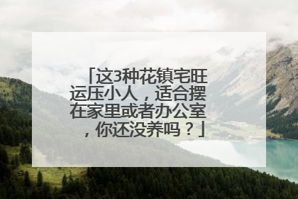 这3种花镇宅旺运压小人，适合摆在家里或者办公室，你还没养吗？
