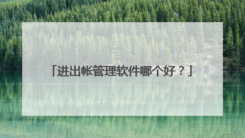 进出帐管理软件哪个好？