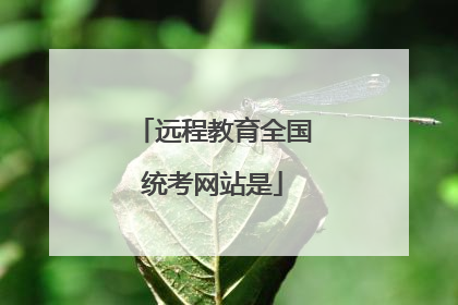 远程教育全国统考网站是
