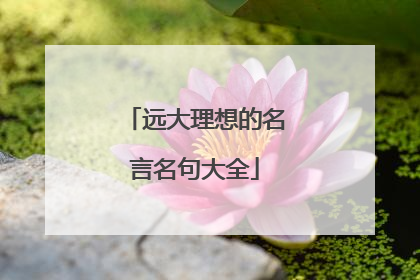 远大理想的名言名句大全