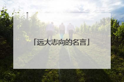 远大志向的名言