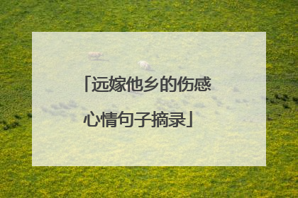 远嫁他乡的伤感心情句子摘录