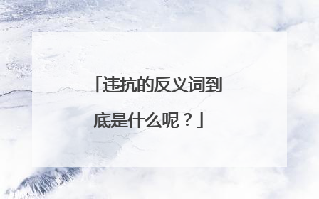 违抗的反义词到底是什么呢?