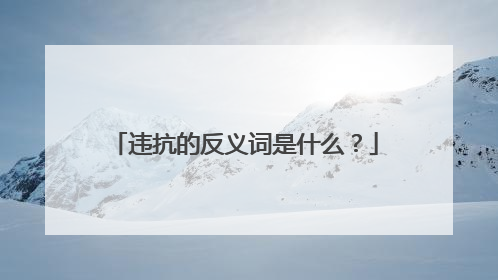 违抗的反义词是什么?