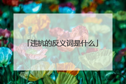 违抗的反义词是什么