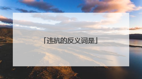 违抗的反义词是
