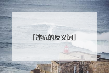 违抗的反义词