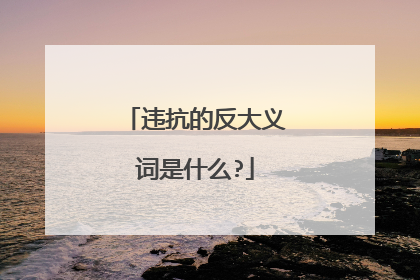 违抗的反大义词是什么?