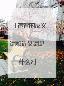 违背的反义词和近义词是什么?