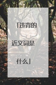 违背的近义词是什么