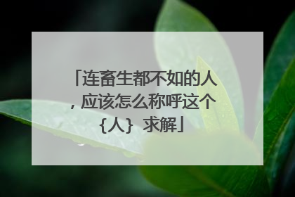 连畜生都不如的人，应该怎么称呼这个 {人} 求解
