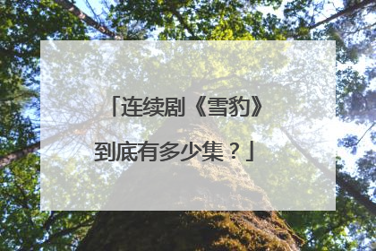 连续剧《雪豹》到底有多少集?