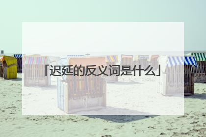 迟延的反义词是什么