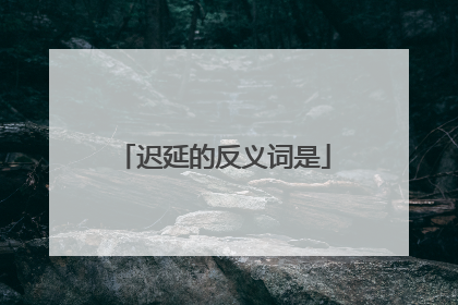 迟延的反义词是