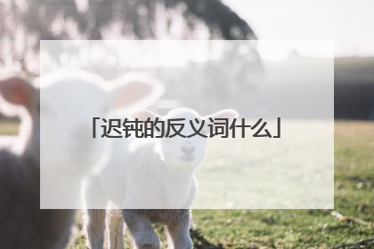 迟钝的反义词什么