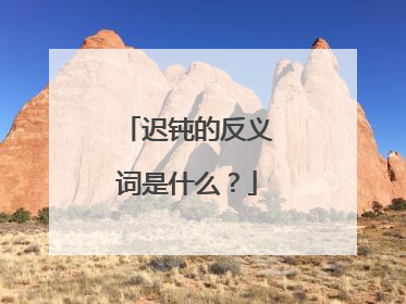 迟钝的反义词是什么?