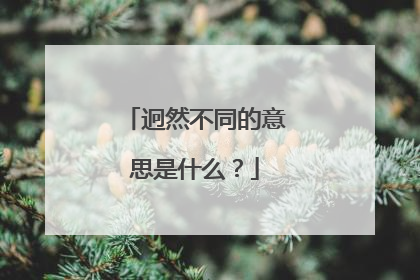 迥然不同的意思是什么?