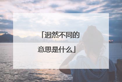 迥然不同的意思是什么